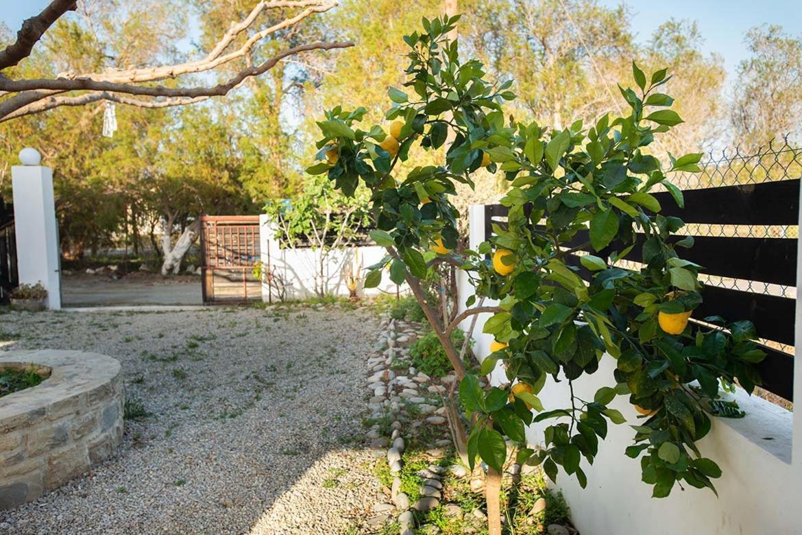 Afrathias Beachhouse - Cretan Hideaway Каламаки Екстериор снимка